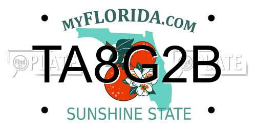 TA8G2B Florida License Plate