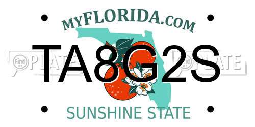 TA8G2S Florida License Plate