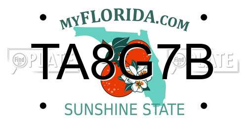 TA8G7B Florida License Plate