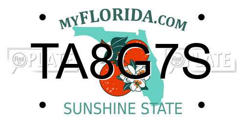 TA8G7S Florida License Plate