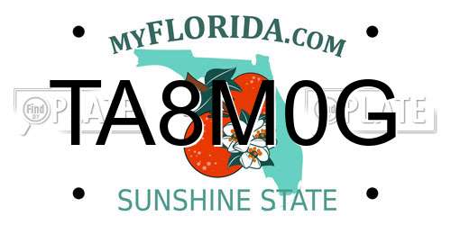 TA8M0G Florida License Plate