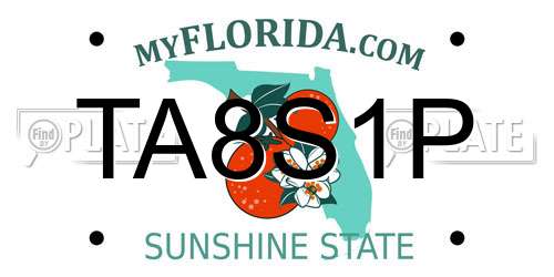 TA8S1P Florida License Plate