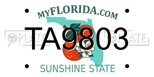 TA9803 Florida License Plate