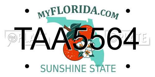 TAA5564 Florida License Plate
