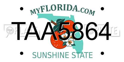 TAA5864 Florida License Plate
