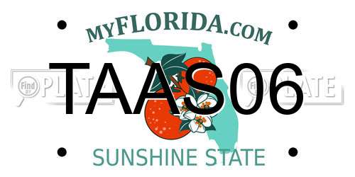 TAAS06 Florida License Plate