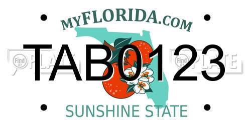 TAB0123 Florida License Plate