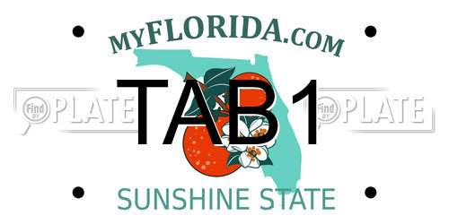 TAB1 Florida License Plate