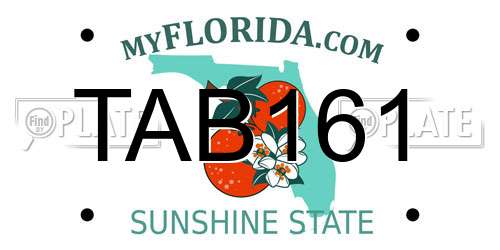 TAB161 Florida License Plate