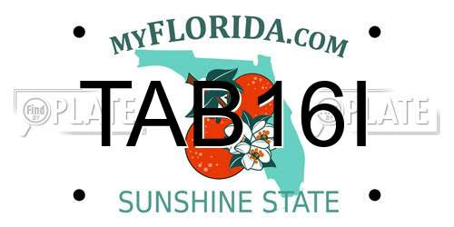 TAB16I Florida License Plate