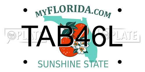 TAB46L Florida License Plate