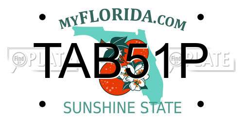 TAB51P Florida License Plate