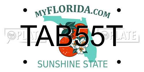 TAB55T Florida License Plate