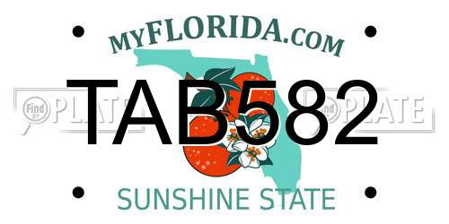 TAB582 Florida License Plate