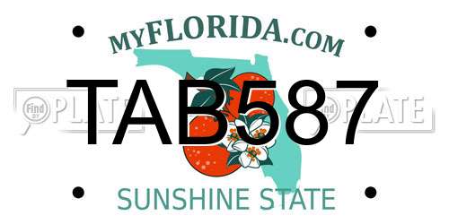 TAB587 Florida License Plate