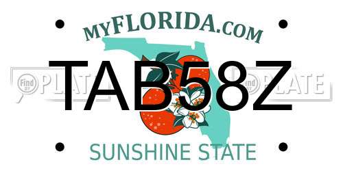 TAB58Z Florida License Plate