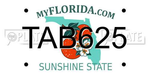 TAB625 Florida License Plate