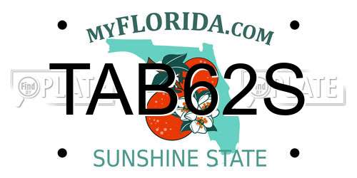 TAB62S Florida License Plate