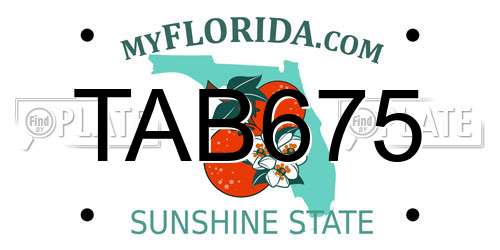 TAB675 Florida License Plate