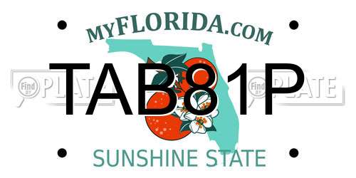 TAB81P Florida License Plate