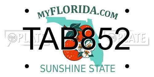 TAB852 Florida License Plate