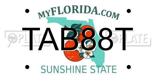 TAB88T Florida License Plate