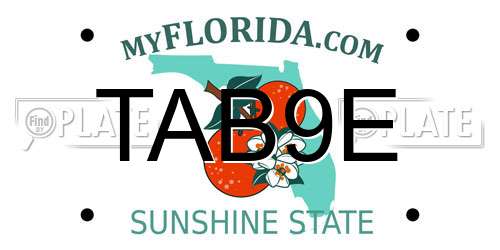 TAB9E Florida License Plate
