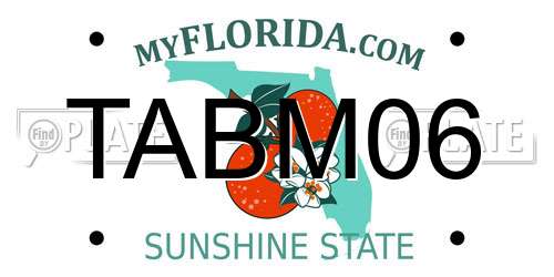 TABM06 Florida License Plate