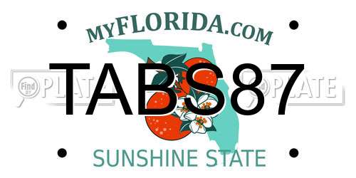 TABS87 Florida License Plate