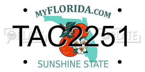 TAC2251 Florida License Plate