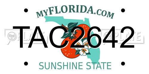 TAC2642 Florida License Plate