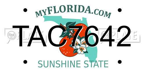 TAC7642 Florida License Plate