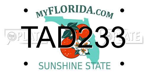 TAD233 Florida License Plate