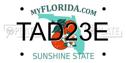 TAD23E Florida License Plate