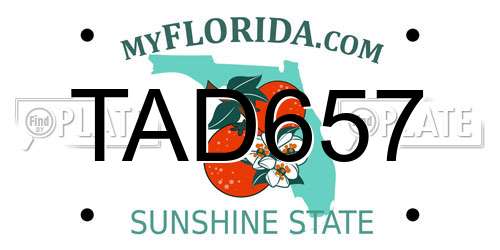 TAD657 Florida License Plate