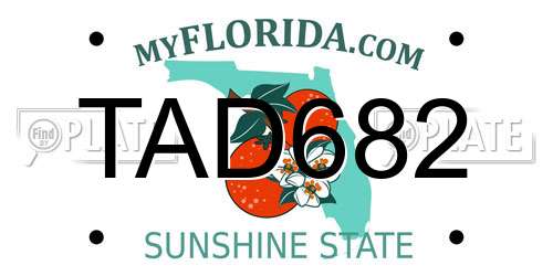 TAD682 Florida License Plate