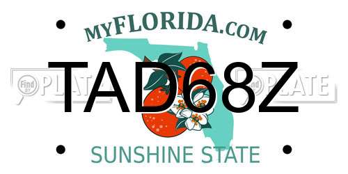 TAD68Z Florida License Plate