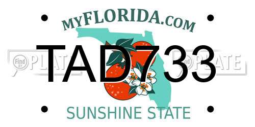 TAD733 Florida License Plate