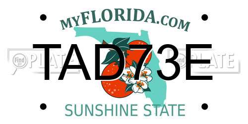TAD73E Florida License Plate