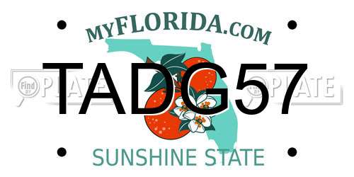 TADG57 Florida License Plate
