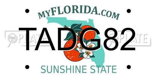 TADG82 Florida License Plate