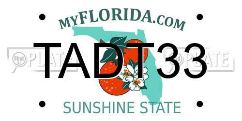 TADT33 Florida License Plate