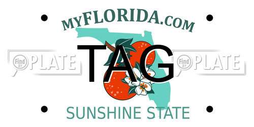 TAG Florida License Plate