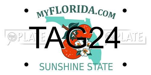 TAG24 Florida License Plate