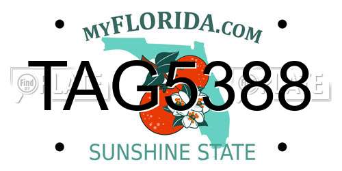 TAG5388 Florida License Plate