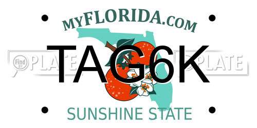 TAG6K Florida License Plate
