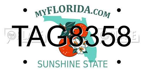 TAG8358 Florida License Plate