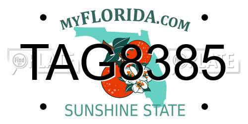 TAG8385 Florida License Plate
