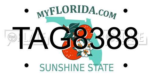 TAG8388 Florida License Plate