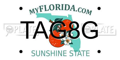 TAG8G Florida License Plate